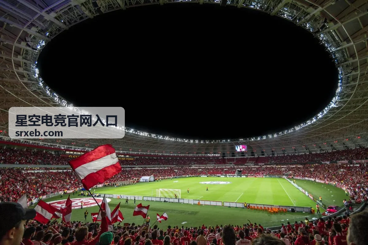 星空电竞官网入口-PC浏览器访问方式