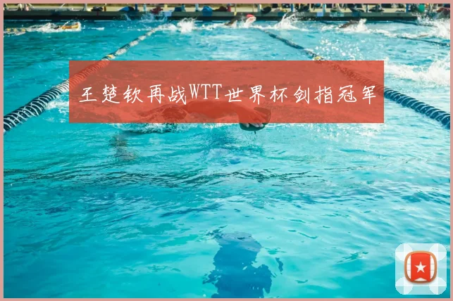 王楚钦再战WTT世界杯剑指冠军