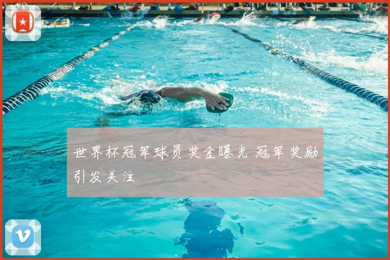 世界杯冠军球员奖金曝光 冠军奖励引发关注