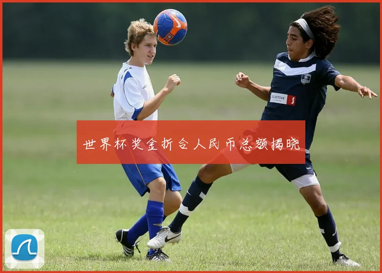 世界杯奖金折合人民币总额揭晓