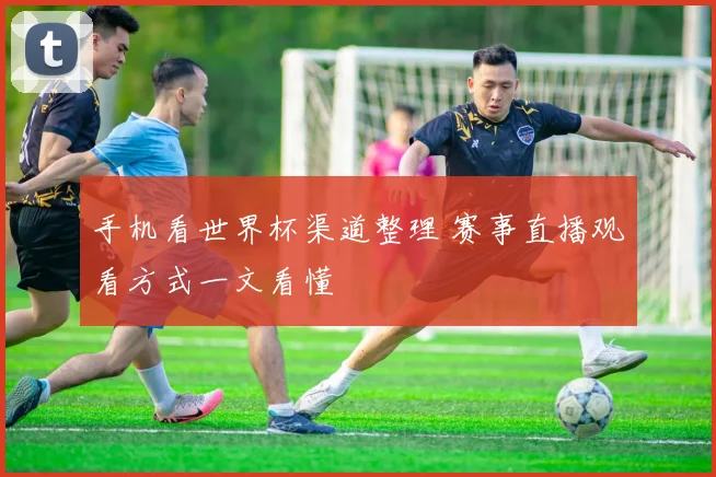手机看世界杯渠道整理 赛事直播观看方式一文看懂