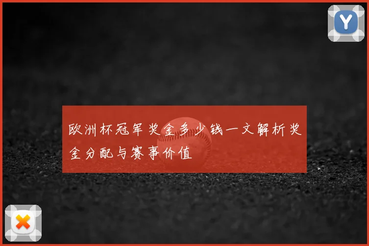 欧洲杯冠军奖金多少钱一文解析奖金分配与赛事价值
