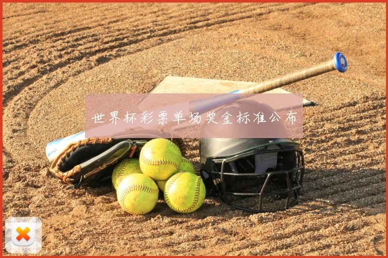 世界杯彩票单场奖金标准公布