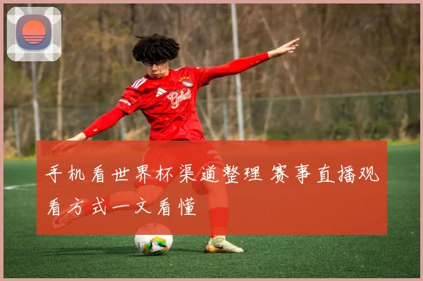 手机看世界杯渠道整理 赛事直播观看方式一文看懂