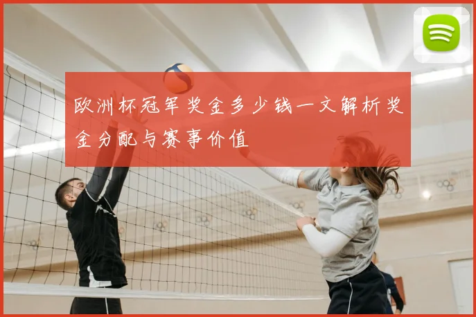 欧洲杯冠军奖金多少钱一文解析奖金分配与赛事价值