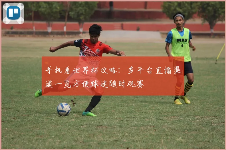 手机看世界杯攻略：多平台直播渠道一览方便球迷随时观赛